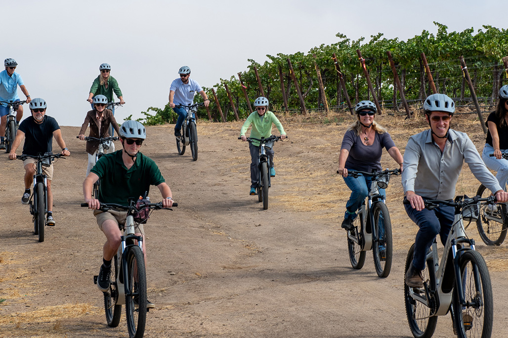 paso robles wine bike tours